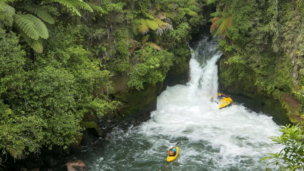 Dart River