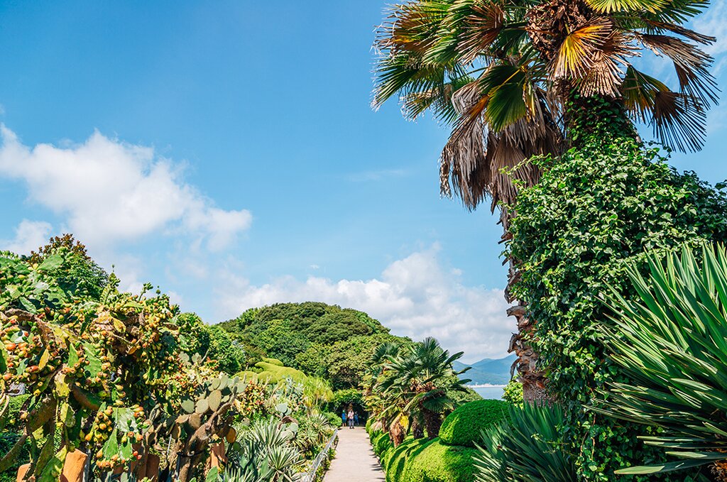Half Day Haegeumgang Island and Oedo Botania Tour