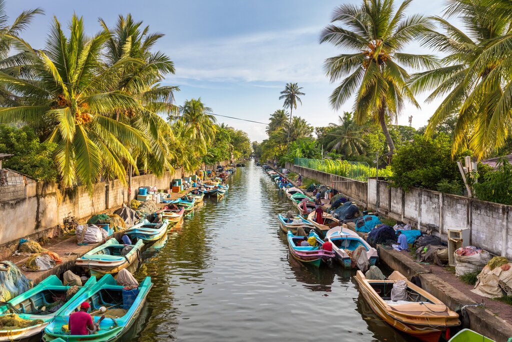 colorful boats are docked along the banks of Hamilton's Canal in fishing village district of Negombo