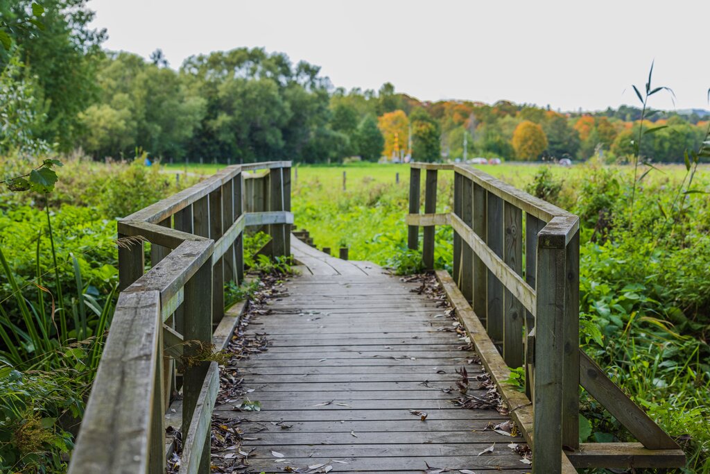 The Stockholm Wilderness Adventure: A Guided Hiking Experience