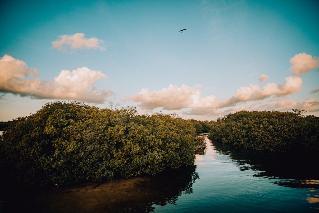 The Ancient Canal Experience in Sian Ka'an Biosphere Reserve