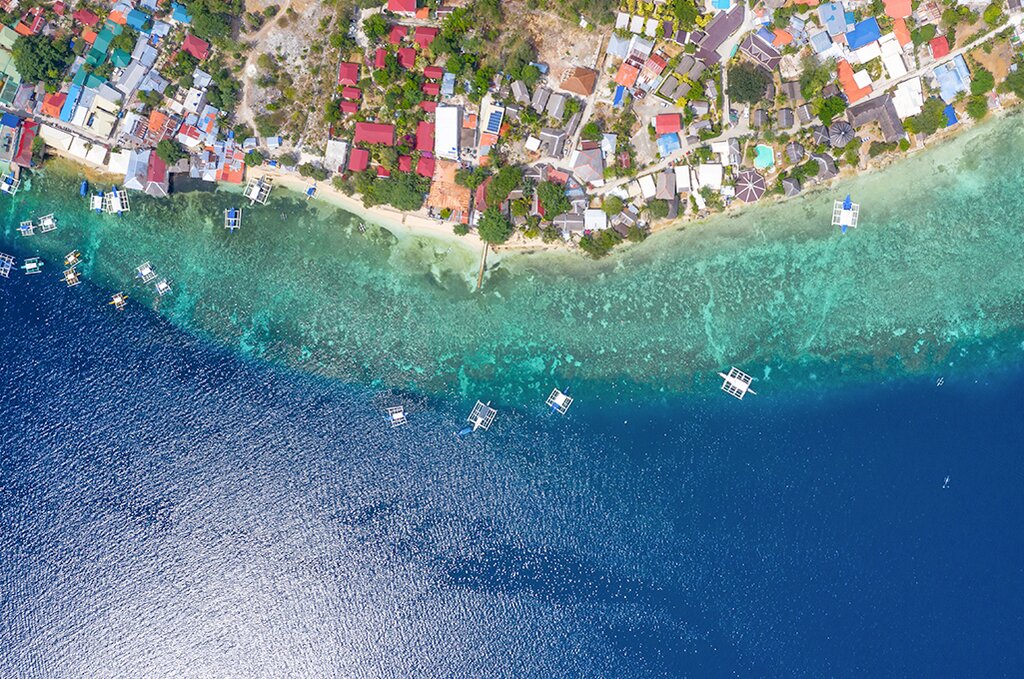 Self-Guided Moalboal Discovery
