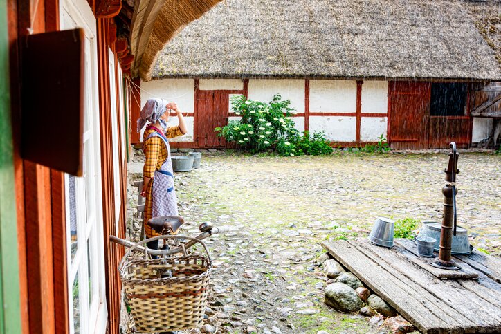Skansen museum