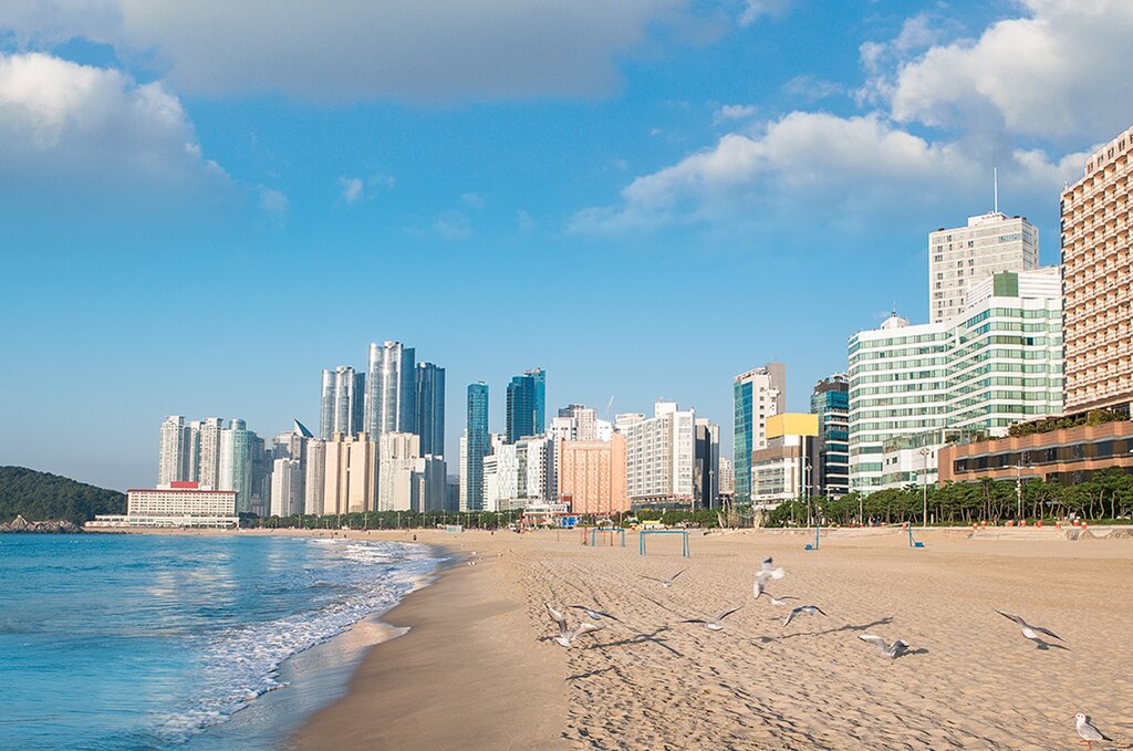 Half Day Haedong Yonggungsa and Haeundae Beach Tour