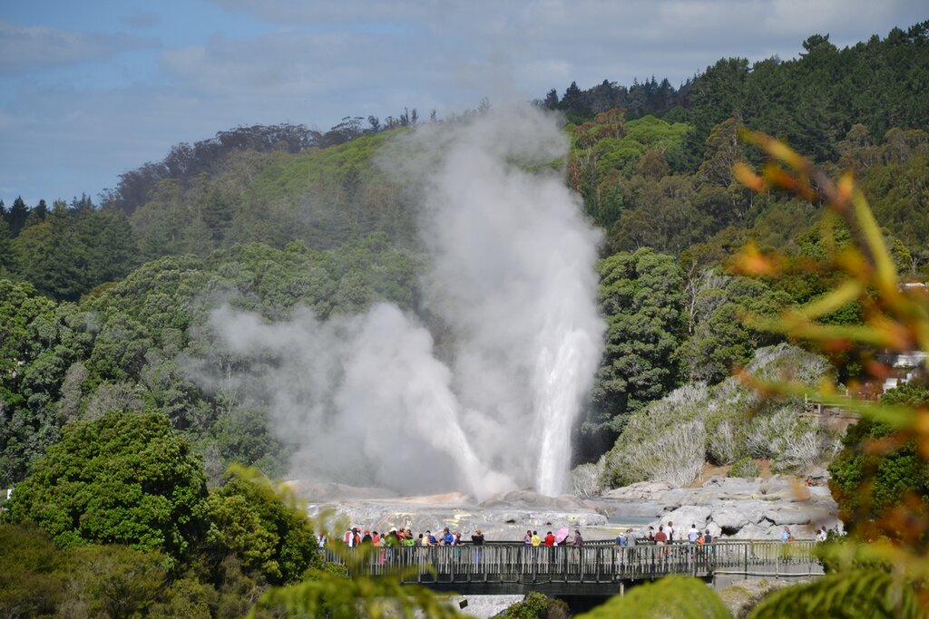 Rotorua geothermal action