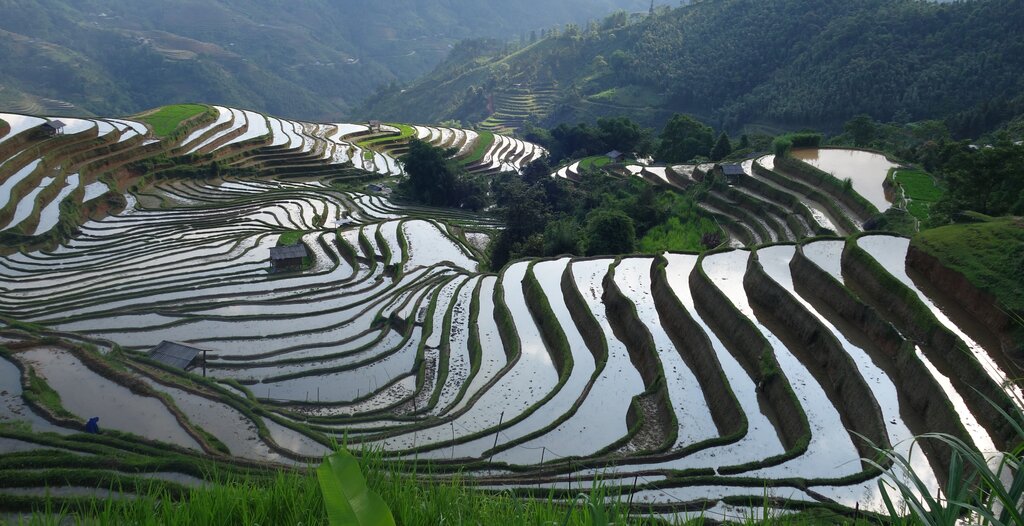 Full-Day Trek in Hoang Su Phi