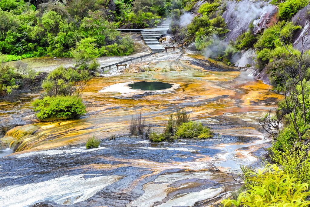 Orakei Korako Tour
