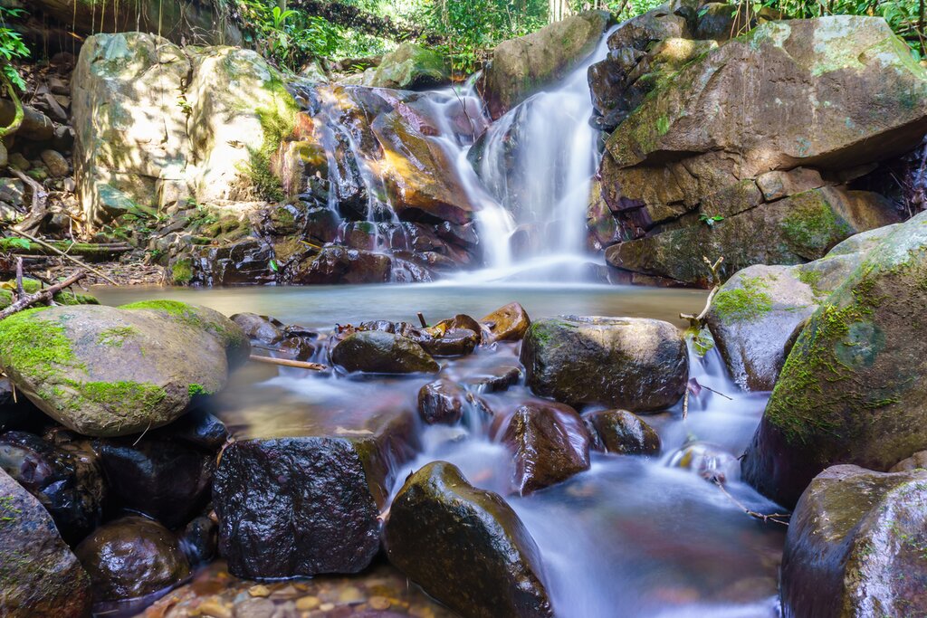 Saloma Homestay (Explore the Village & Jungle)