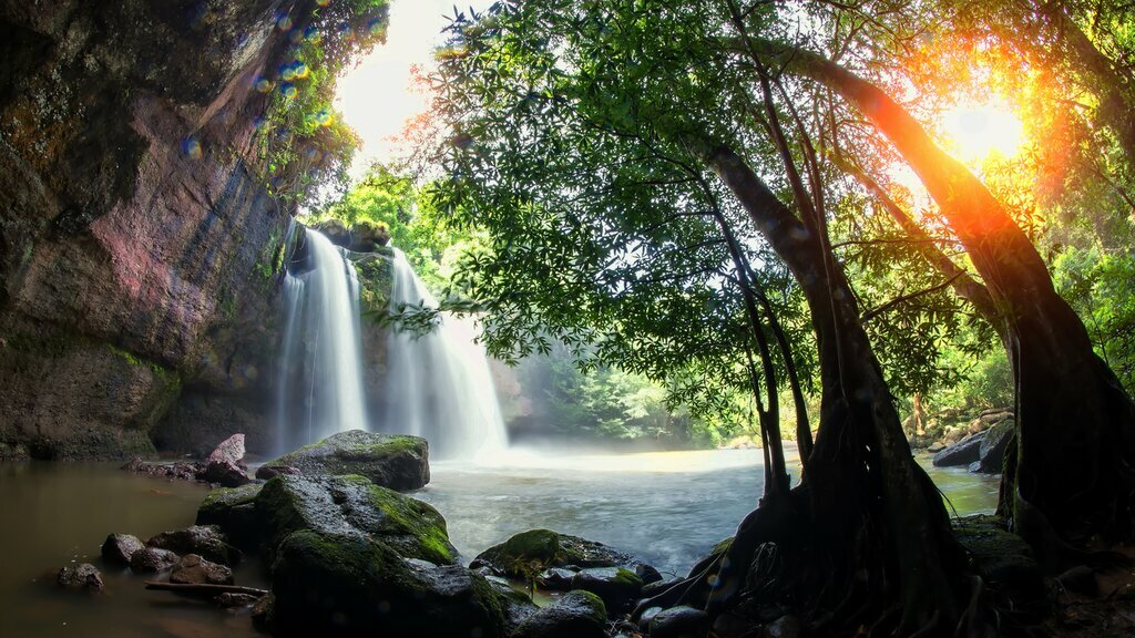 Khao Sok National Park
