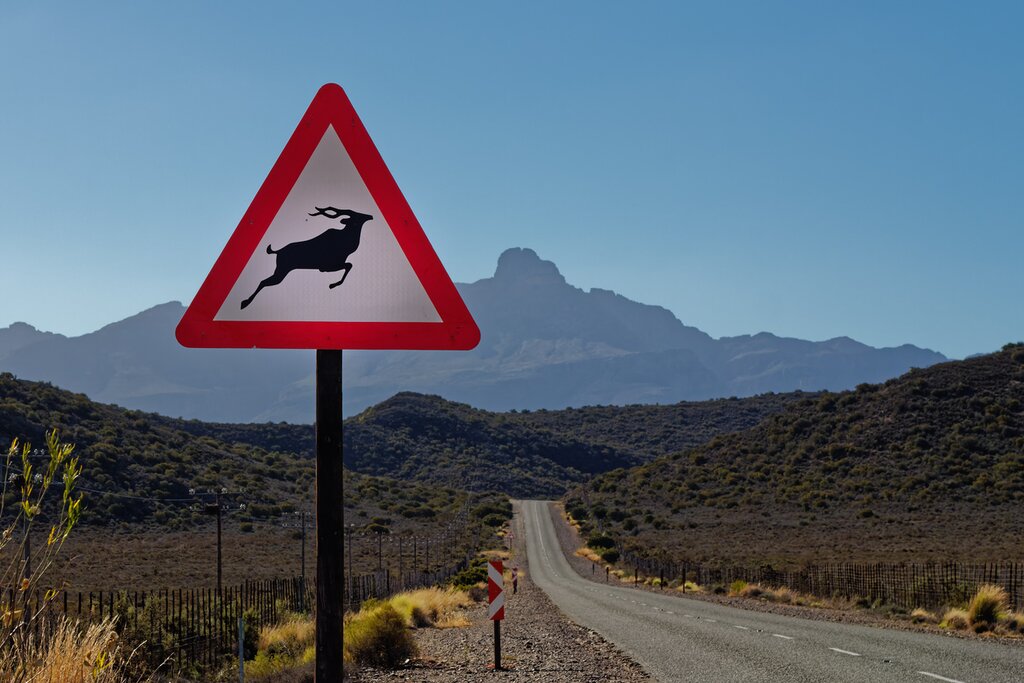 A sign on the left side of the road depicting a jumping antelope with mountains in the background