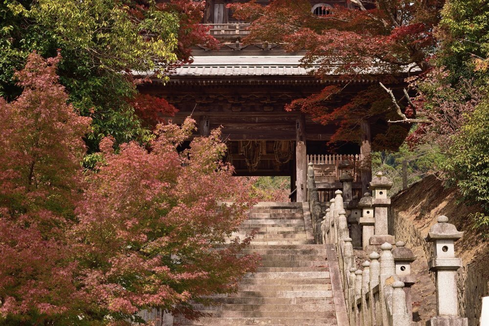 Hashikura Temple