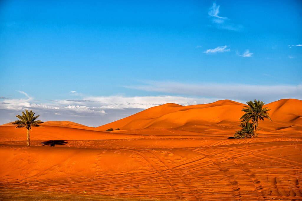 Spend two nights under desert skies in a luxury camp near Merzouga