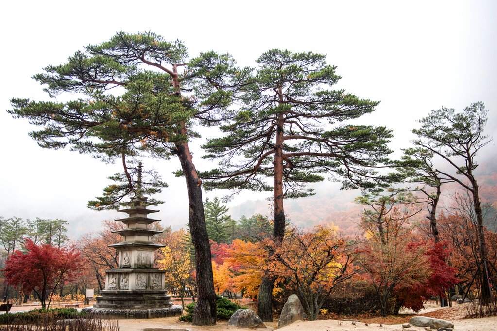 Visit the Picturesque Seoraksan National Park with Shinheungsa Temple