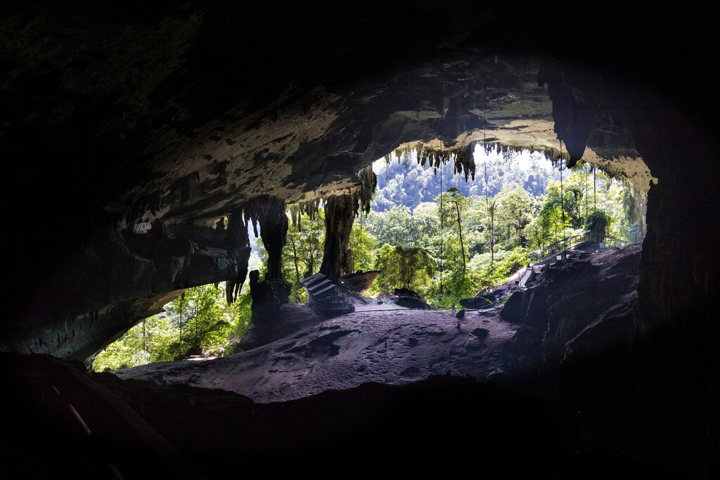 Mulu cave