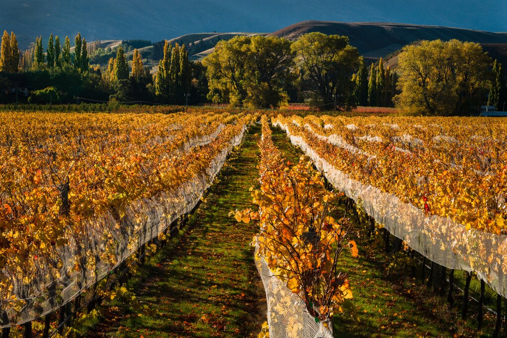 Central Otago