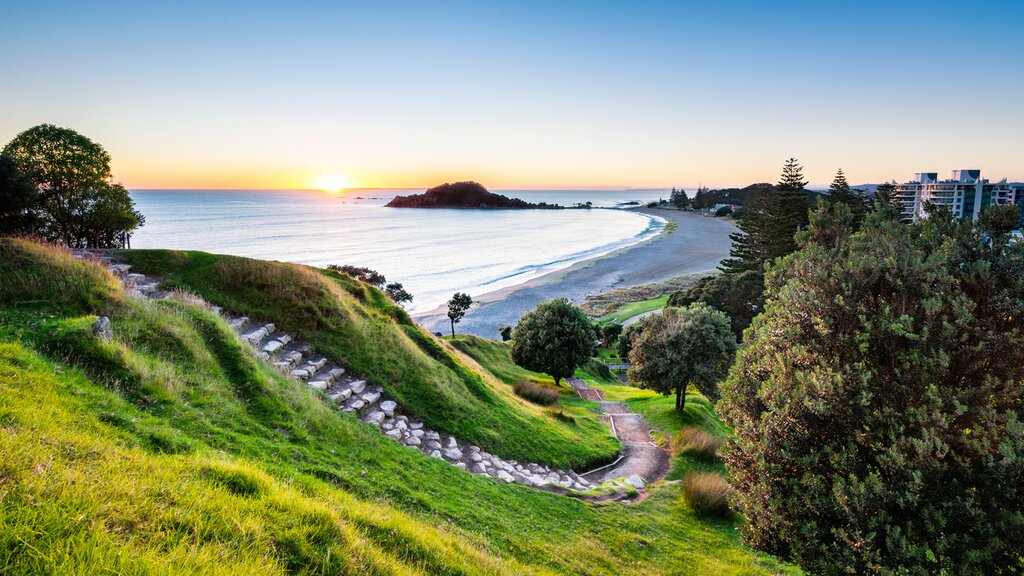 Tauranga