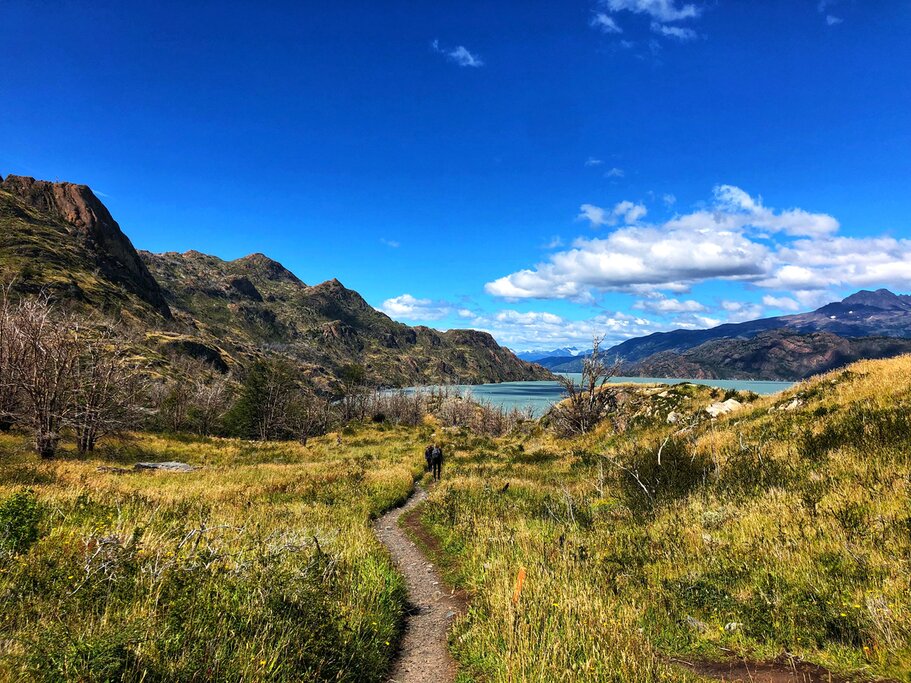 Hike the iconic W Trek in Torres del Paine National Park