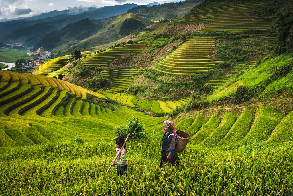 Hanoi - Hiking to visit Ma Tra  &Ta Phin Village - Sapa