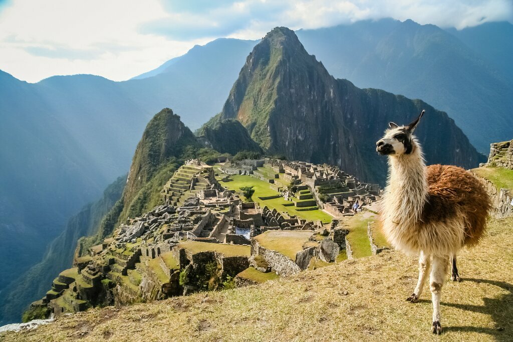 Machu Picchu and a llama