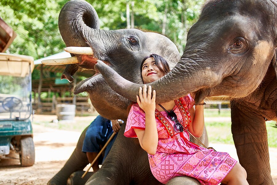 Ao Nang Elephant Sanctuary Half-Day Tour