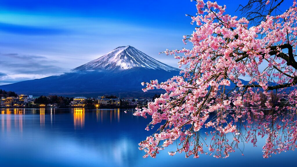 Cherry blossoms and view of Mount Fuji