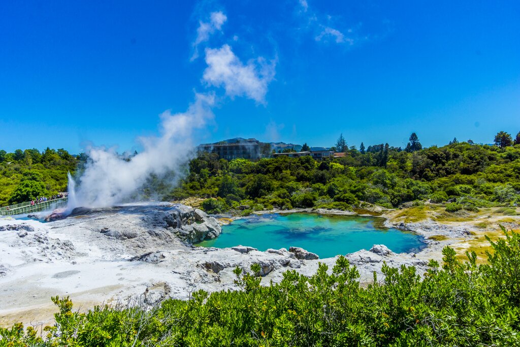 Check out Rotorua's geysers and mud pools