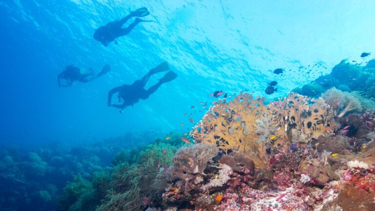 The Philippines In December Travel Tips Weather More