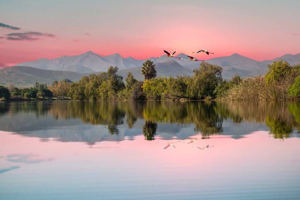 Depart South Africa