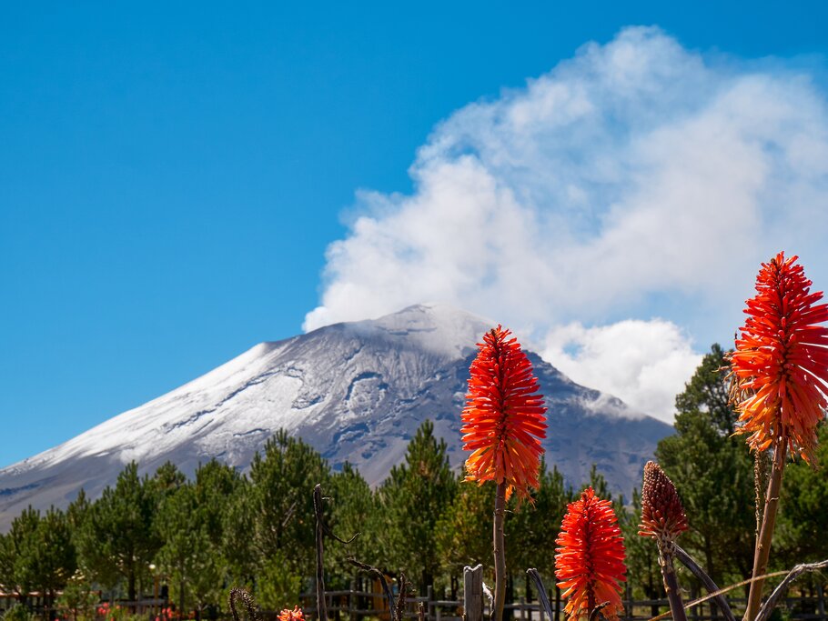 Hike in the Iztaccíhuatl-Popocatépetl National Park