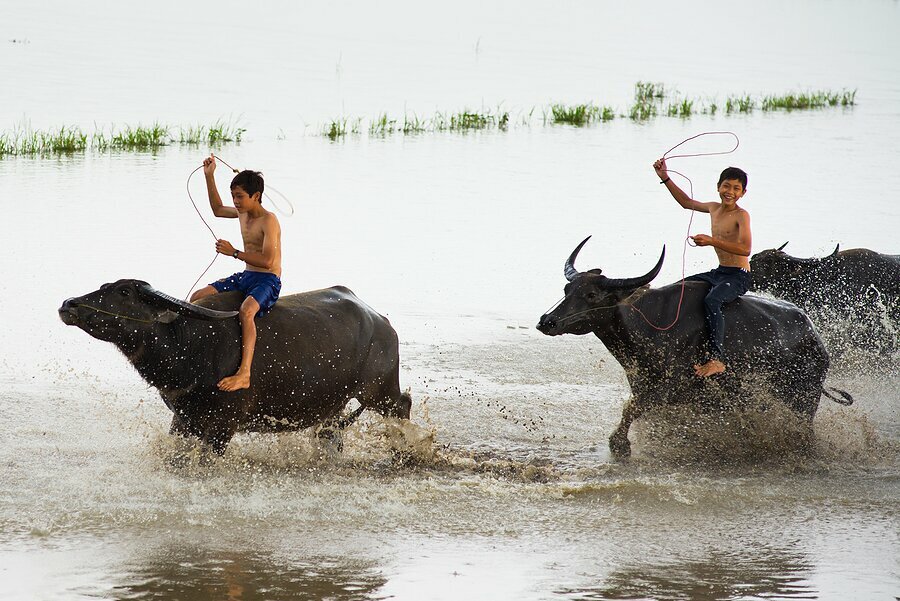 Children in the Mekong Delta
