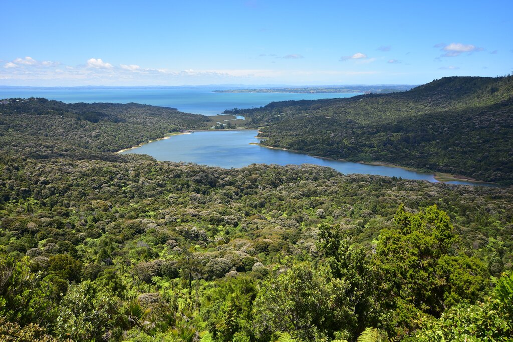 Waitakere Range