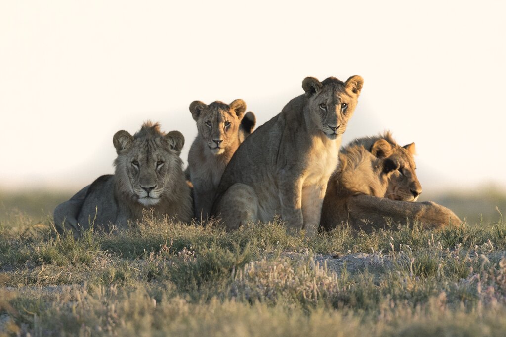 Namibia