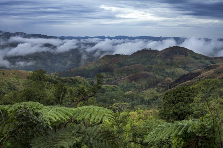 Fiji In January Travel Tips Weather More