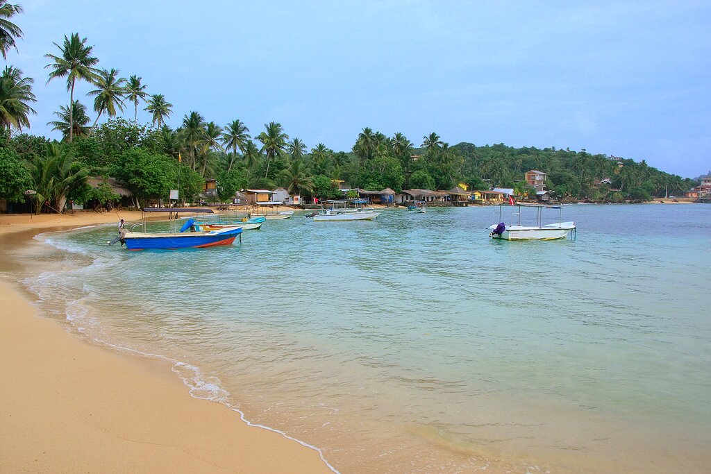 Soak up some sun on Unawatuna's palm-lined beaches