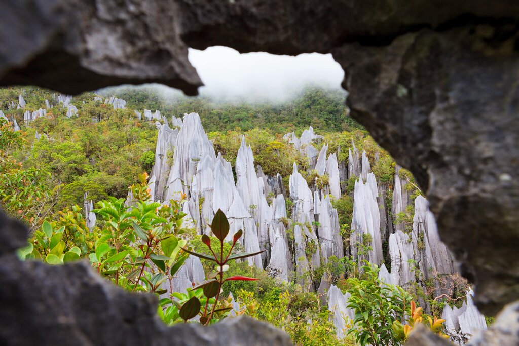 Gunung Mulu National Park