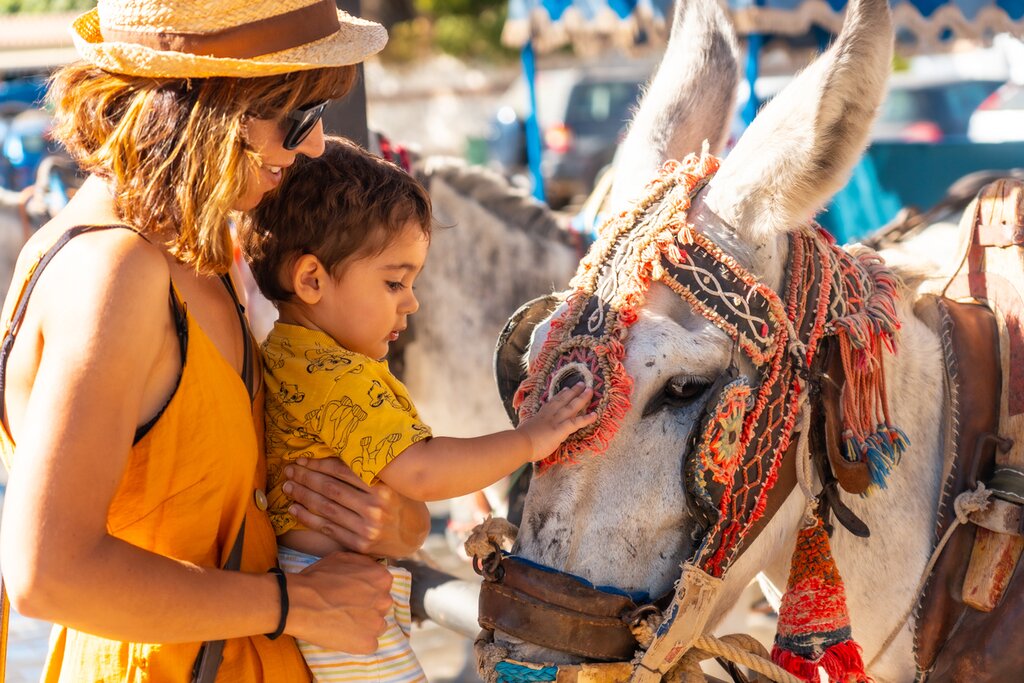 Mother and child petting a donkey in Spain