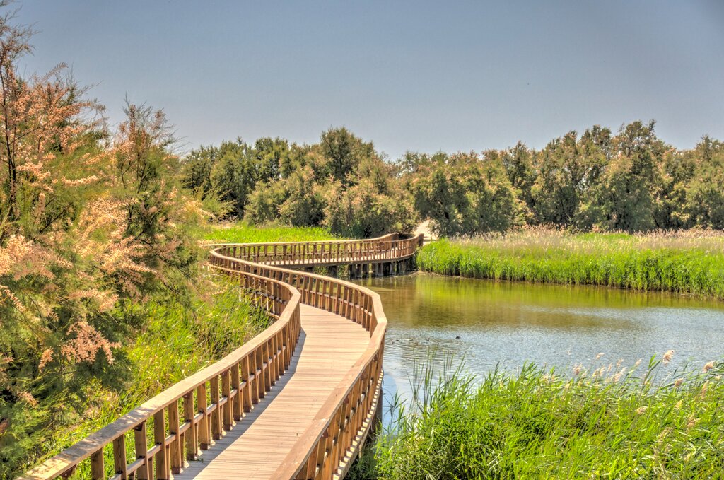 Take a pleasant stroll through Tablas de Daimiel National Park