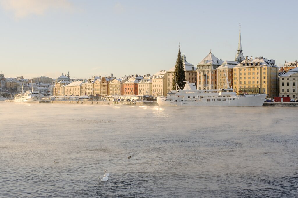 Archipelago Winter Kayaking and Fika Experience