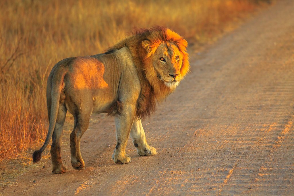 Gondwana Private Game Reserve