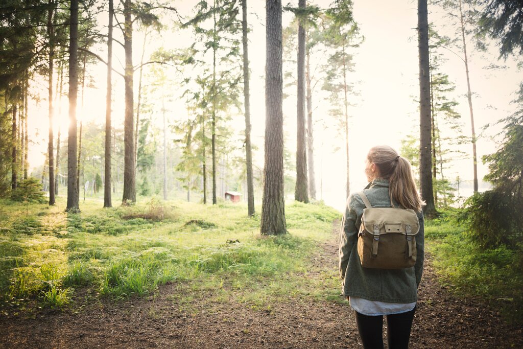 Bergnäsets hiking trail
