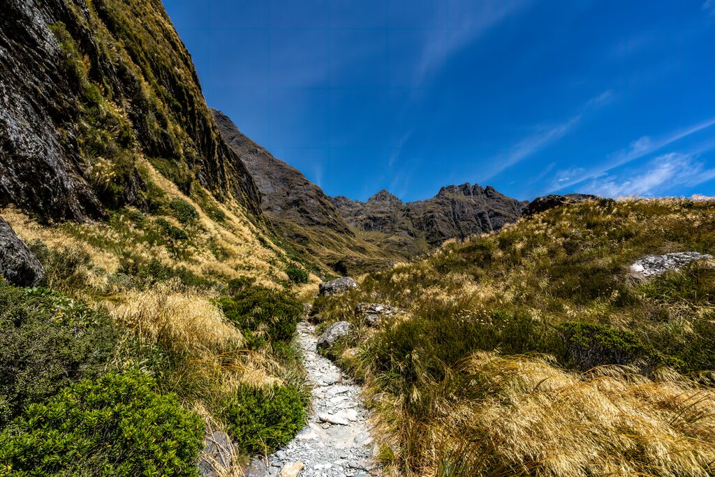 Full Day Famous Routeburn Trail