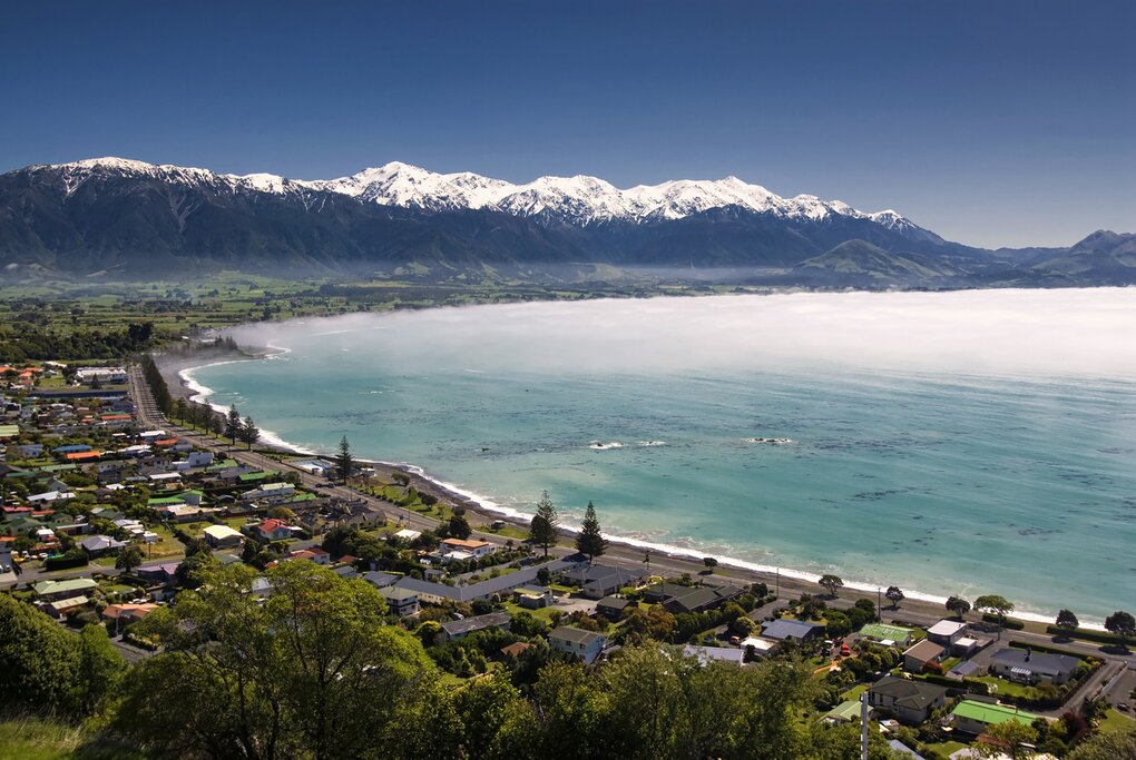 In Kaikōura, the mountains meet the ocean