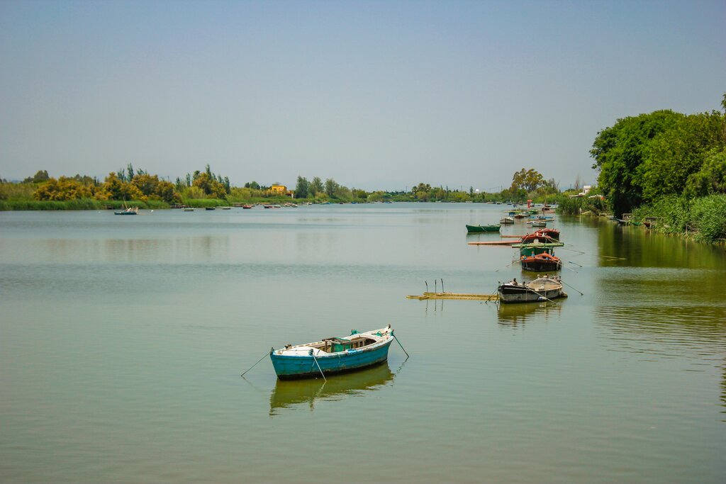 Boat tour in Albufera National Park