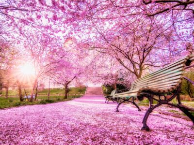 original-e538e7b17cadc05bbf41d573e0bb4794