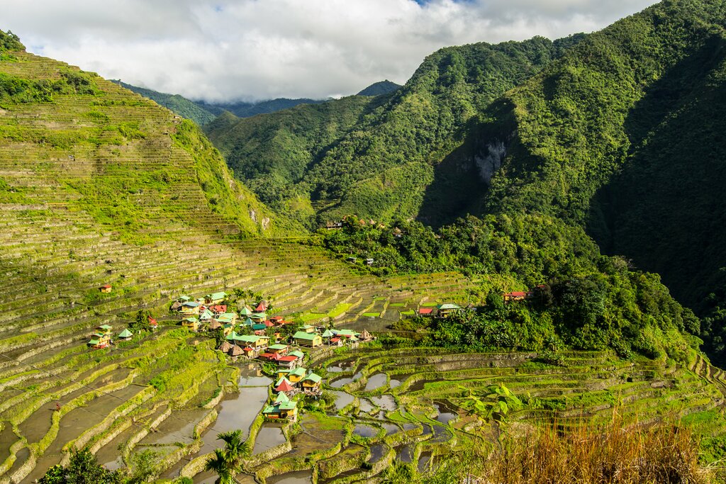 Banaue Rice Terraces