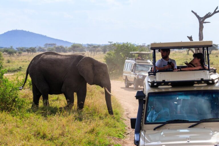 The Ultimate Tanzania Safari: Arusha, Tarangire, Serengeti, Ngorongoro & Lake Manyara - 10 Days