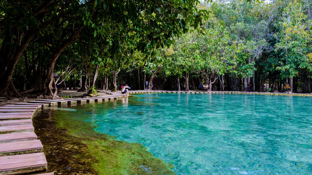 Tiger Cave, Emerald Lagoon and Hot Spring Tour