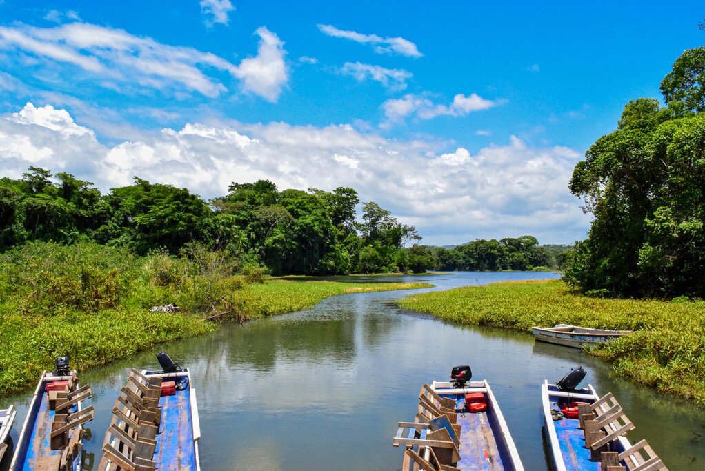 Canal Rainforest Boat experience