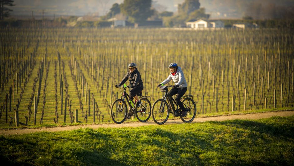 Full Day Cape Winery Tour - Self Guided E-Bike Tour