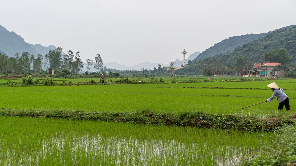 Phong Nha free time